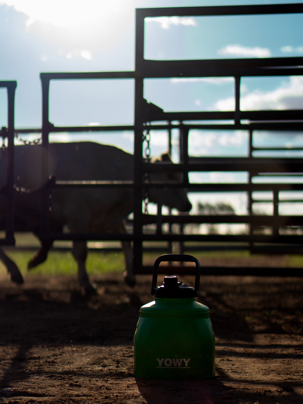 3L Yowy Watercan