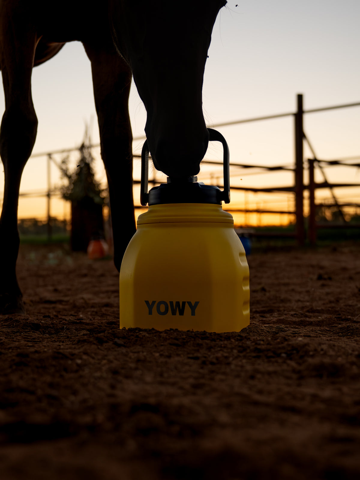 3L Yowy Watercan